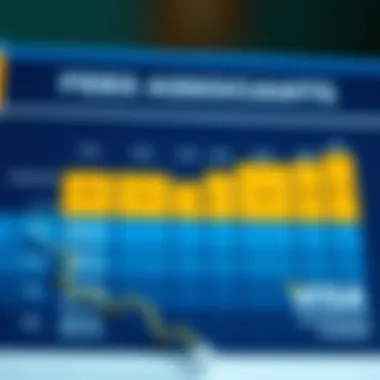 Fees Associated with Visa Accounts Chart displaying various fees associated with Visa accounts